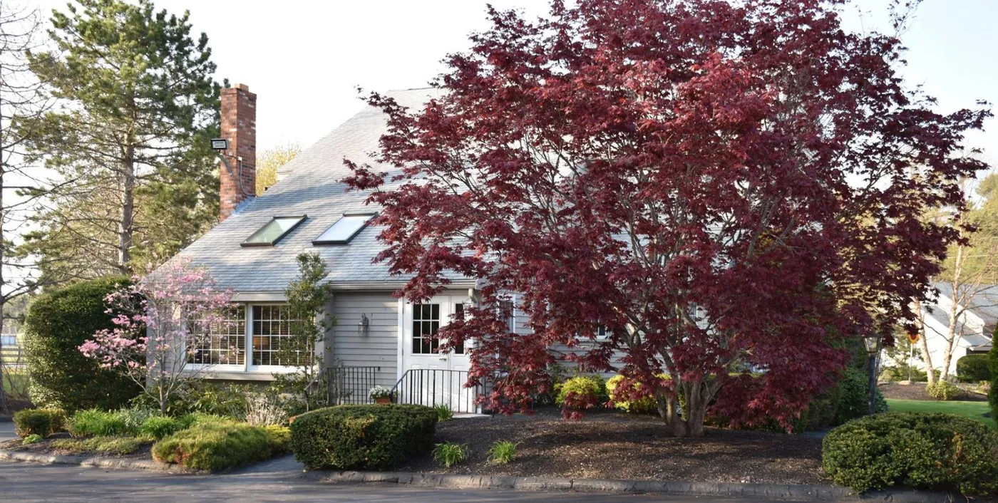The Mark Melevsky, DMD dental office on Forest Street in Marshfield
